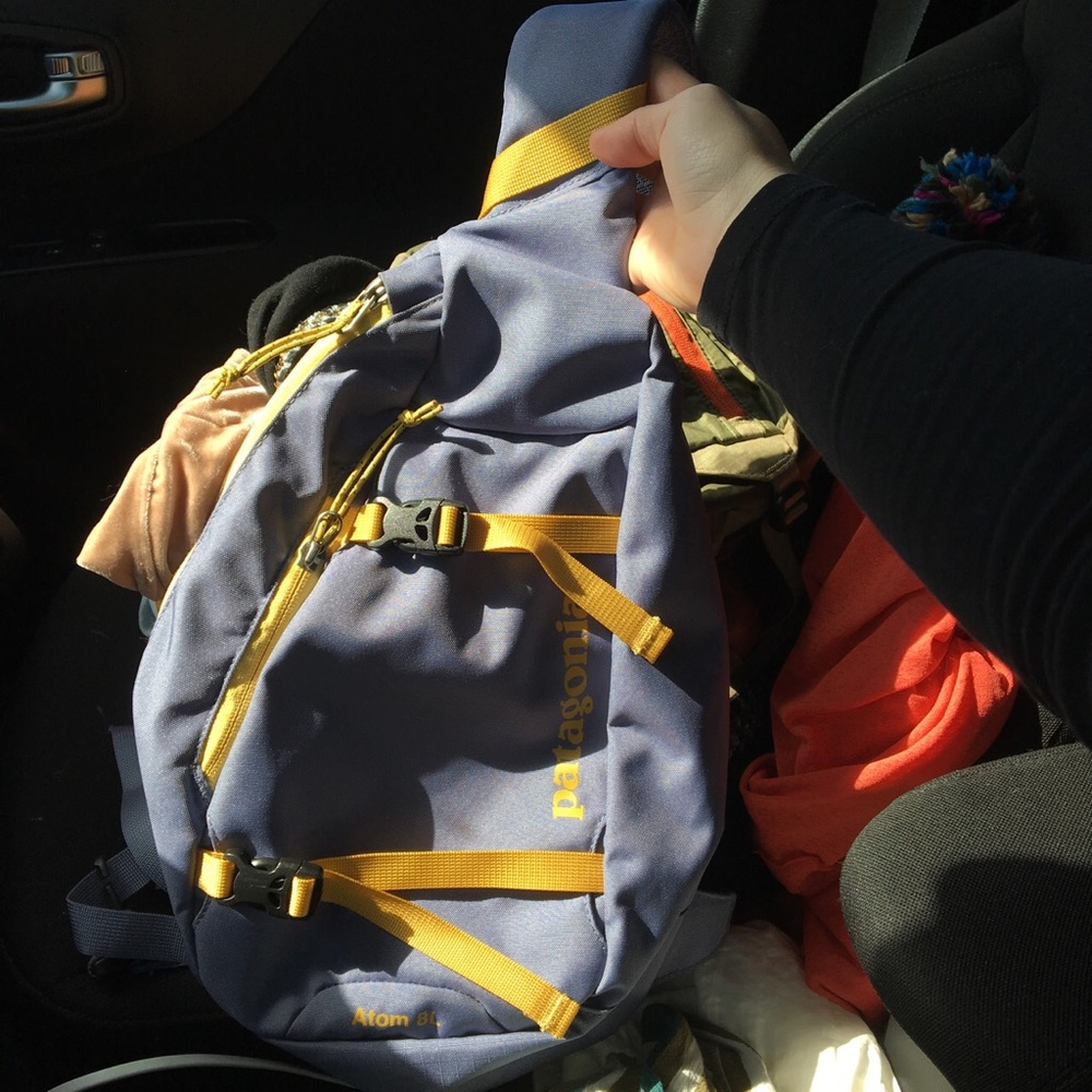 Patagonia Atom 8L. Purple and Yellow
